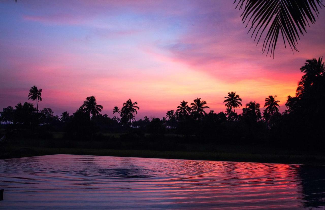 Alila Diwa Goa - A Hyatt Brand Resort